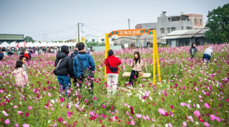 回嘉看花吧!2025嘉義花海生活節 11/29–30 浪漫登場