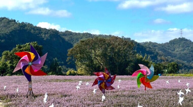 冬季限定農遊花季盛典 關西仙草節今浪漫登場