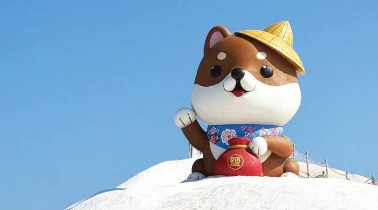 6米巨柴成為七股鹽山最萌地標!毛小孩列車啟程招「柴」