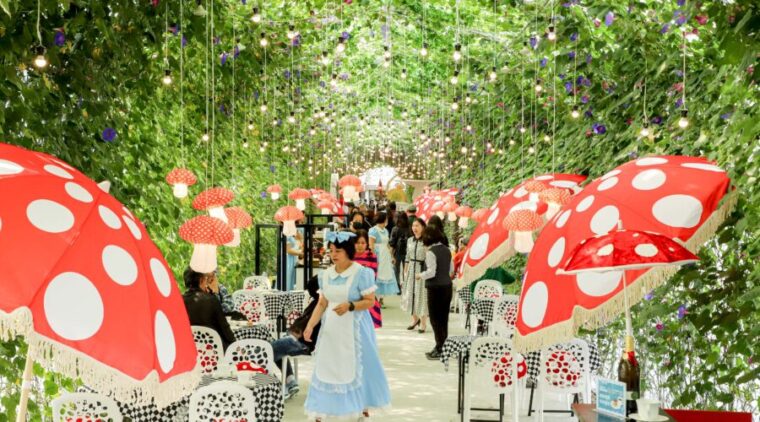 2025高山茶都盛大開幕!免費入園飲茶、品咖啡