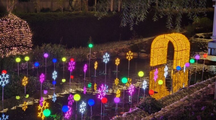 迎耶誕、跨年與元宵!水利局點亮四大燈區 藍白冰河、飄雪效果打造最浪漫台中冬季