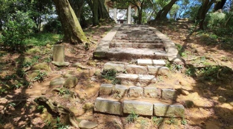 飛鳳山觀日坪步道修繕工程1/12開工 提供民眾舒適安全健行路線