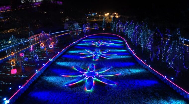 2026南投燈會首創SUP燈區 白天玩槳夜賞燈