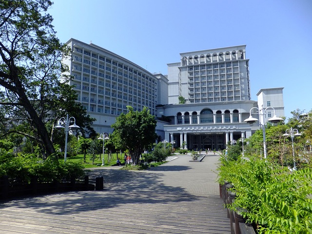 2024旗津風箏節試飛美照曝光！7月20日連兩週末邀你來Chill一夏