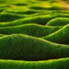 不肖業者在白河偏遠地帶偷倒廢物 環保局當場查獲移送法辦