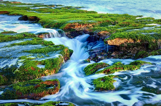全國首家工業區內公托-五股五權公托開幕　新北友善再升級家長免煩惱