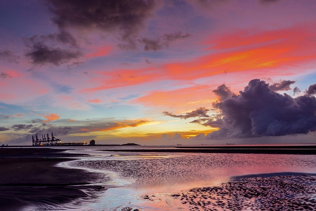 打造優質運動學習新據點！嘉義永慶高中「王楊嬌光電風雨球場」正式啟用