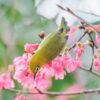 星空閃耀！2023南投跨年晚會加碼璀璨煙火秀，歡喜迎接2023新年到來