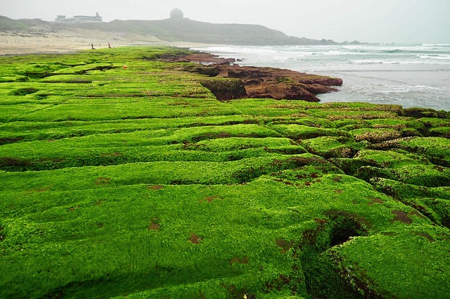 玩出大智慧！埤頭國小「榕仔博士」遊戲場正式啟用