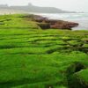 百年山城起新厝！六龜新行政中心即將動工