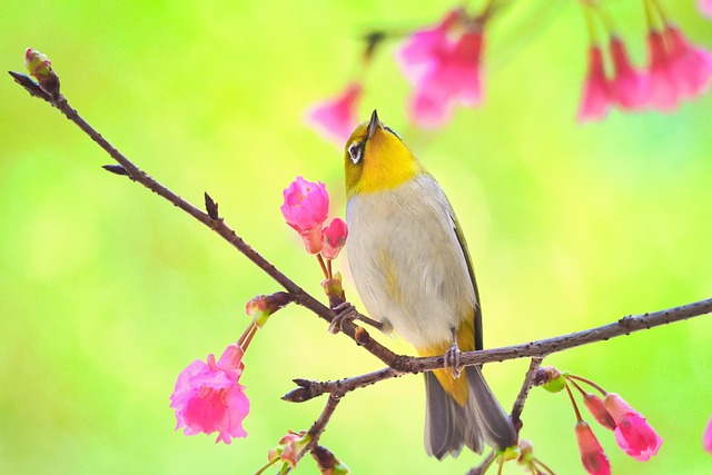 雙情人節限定！新莊「EyE在中港」睛彩光雕浪漫河廊正式登場