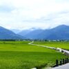 饒慶鈴視察杜蘇芮颱風災害應變中心及巡視台東市中興路積水 縣府將辦理改善保障民眾生命財產安全