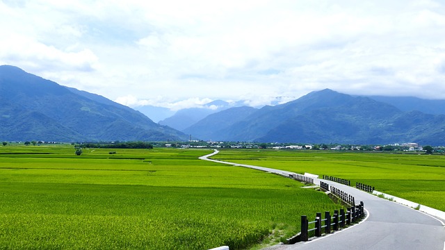 饒慶鈴視察杜蘇芮颱風災害應變中心及巡視台東市中興路積水 縣府將辦理改善保障民眾生命財產安全